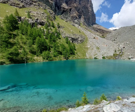 valsesia art